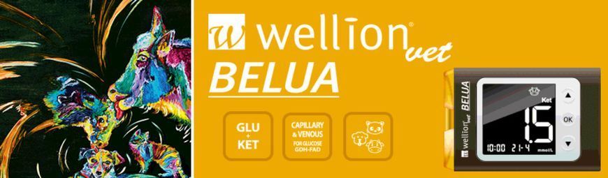 Набір для вимірювання рівня цукру в крові Wellion Belua meter Set, we-49