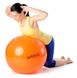 Мяч Gymnastik Ball LEDRAGOMMA Standard, диам. 53 см , серебристый