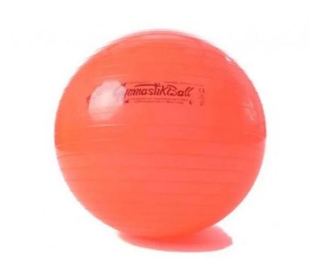 Мяч Gymnastik Ball LEDRAGOMMA STANDARD FLUO, диам. 65 см, красный