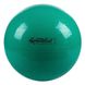 М'яч Gymnastik Ball LEDRAGOMMA Standard, діам. 65 см, зелений