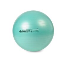 Мяч Gymnastik Ball LEDRAGOMMA Maxafe, диам. 65 см, зеленый